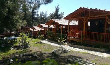 Olympos Tanrılar Kulübü